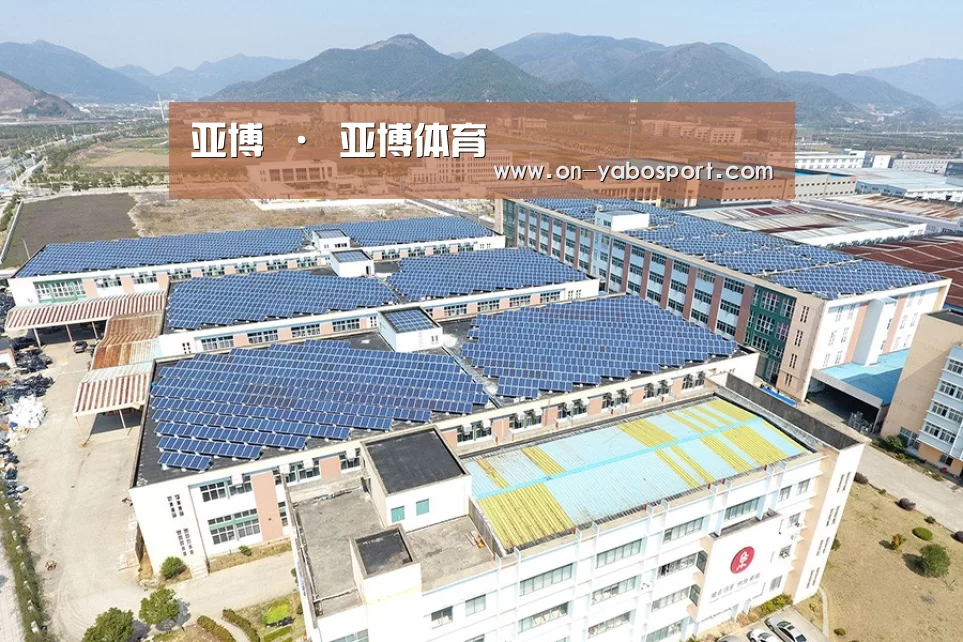 案例展示一