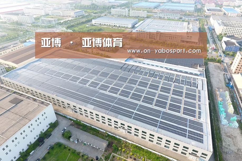 案例展示四