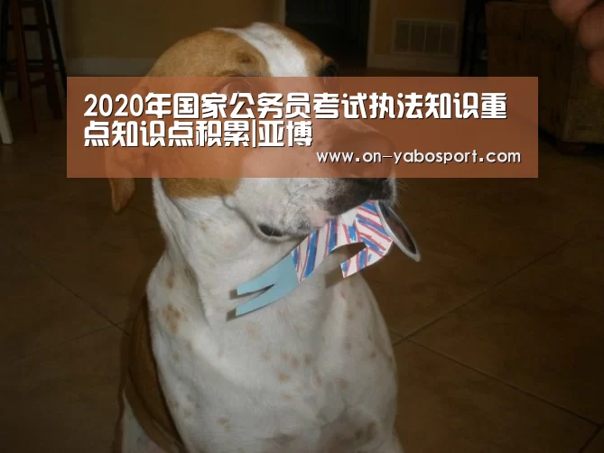 2020年国家公务员考试执法知识重点知识点积累|亚博(图2) 亚博平台