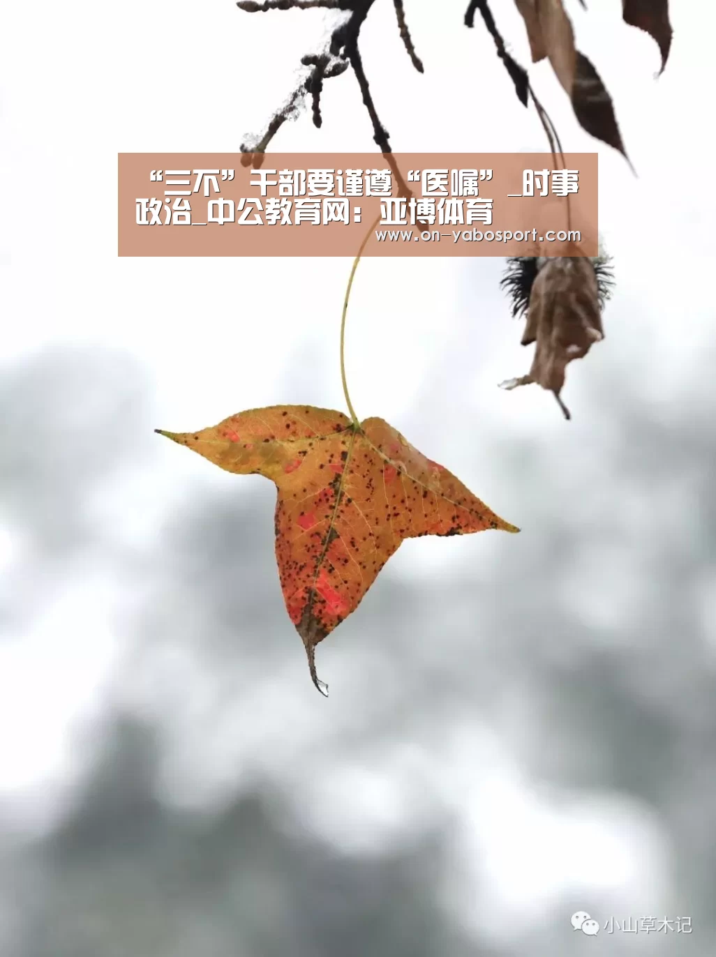 “三不”干部要谨遵“医嘱”_时事政治_中
